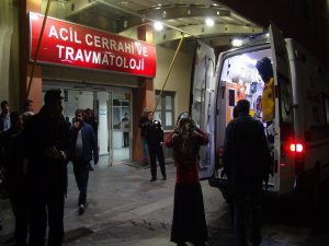 Budamak için çıktığı ağaçtan düştü