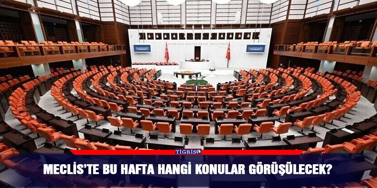 Meclis’te bu hafta hangi konular görüşülecek?