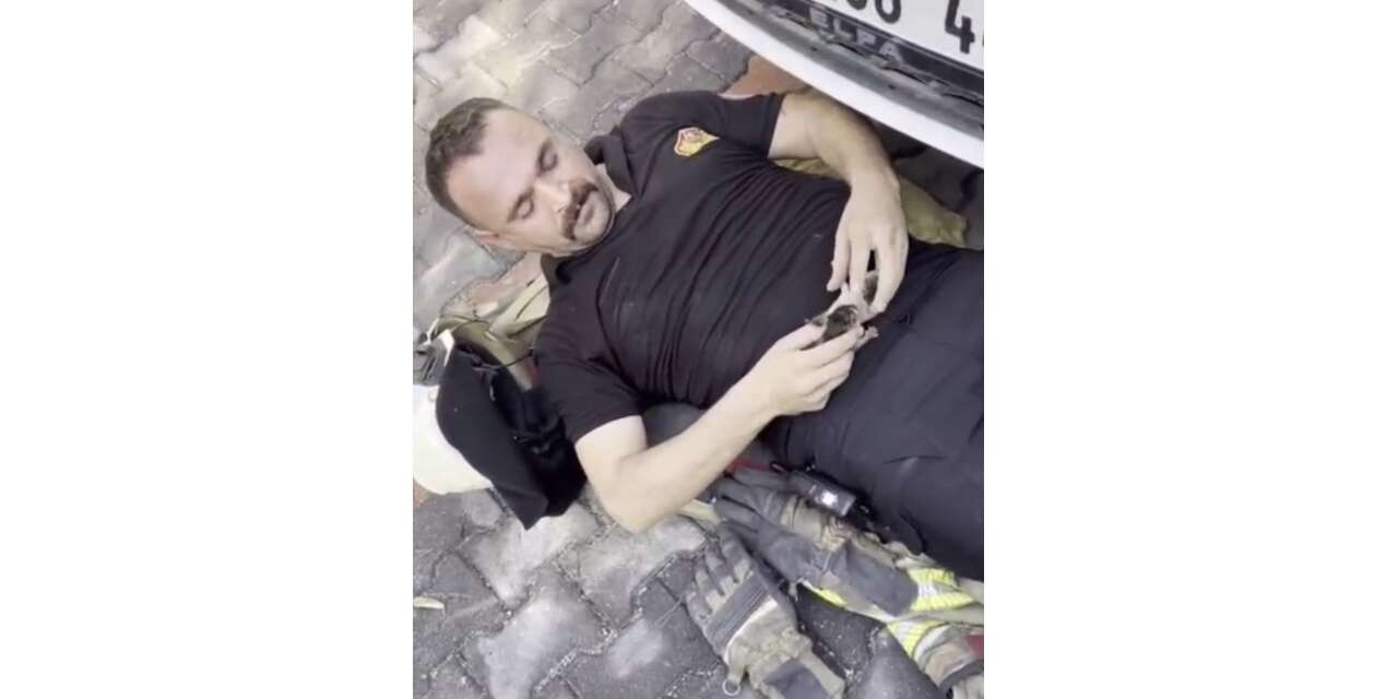 Aracın kaputunu açtılar, karşılaştıkları manzara şaşırttı!