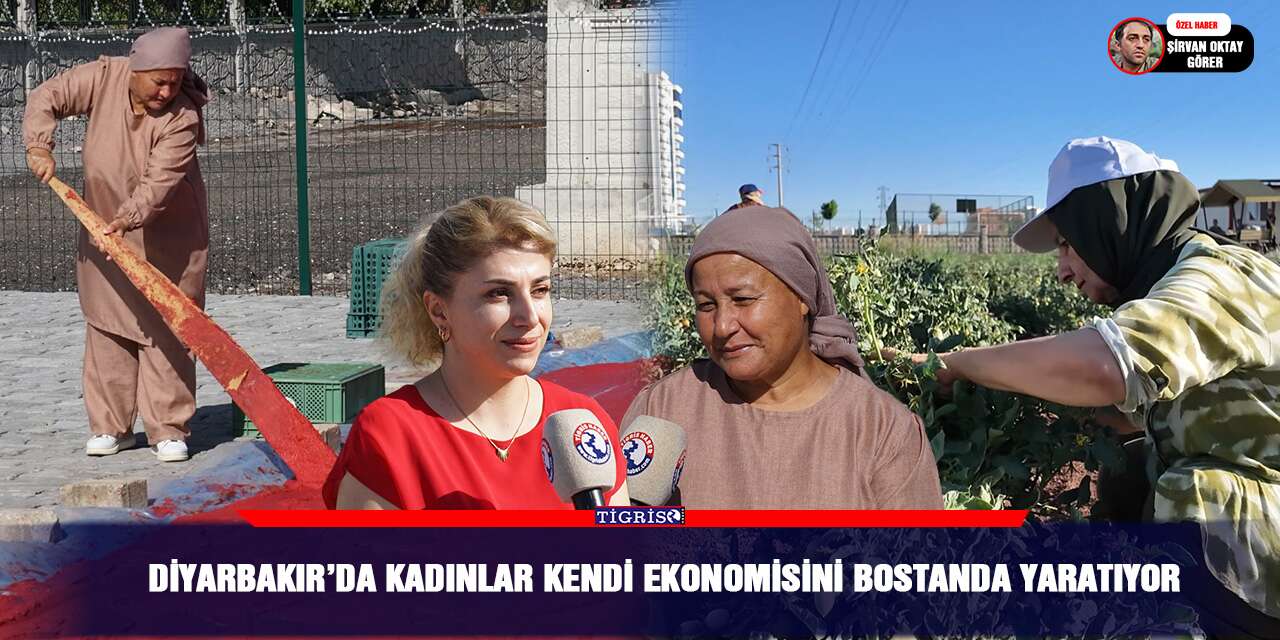Diyarbakır’da kadınlar kendi ekonomisini bostanda yaratıyor