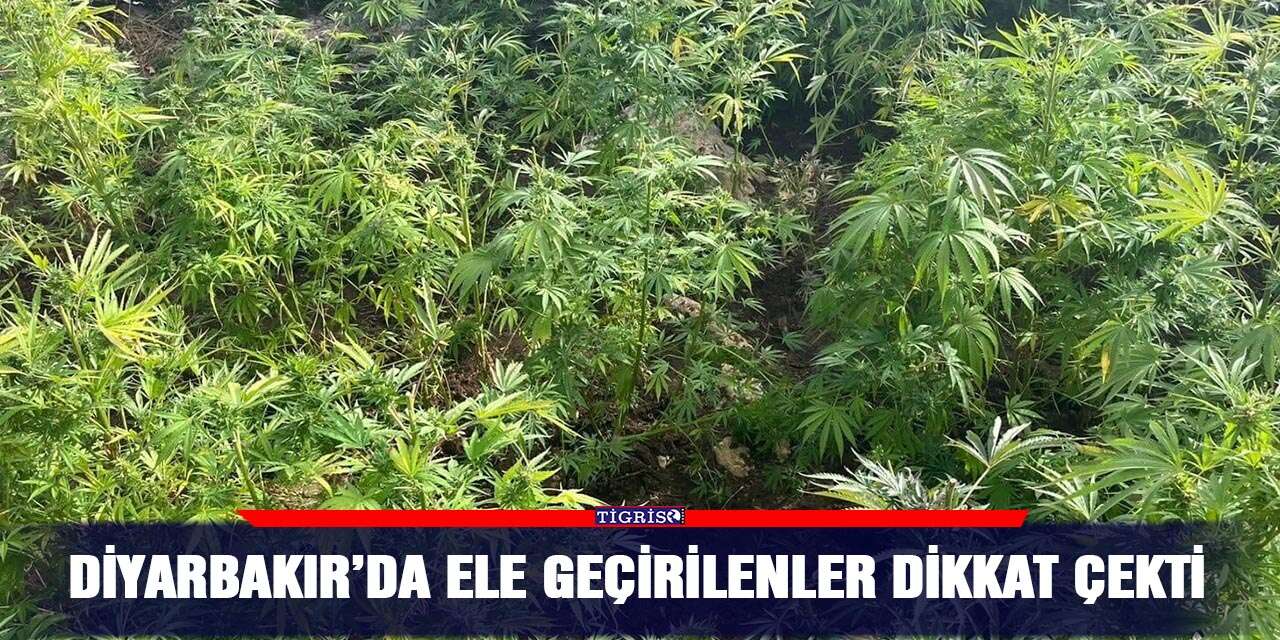 Diyarbakır’da ele geçirilenler dikkat çekti