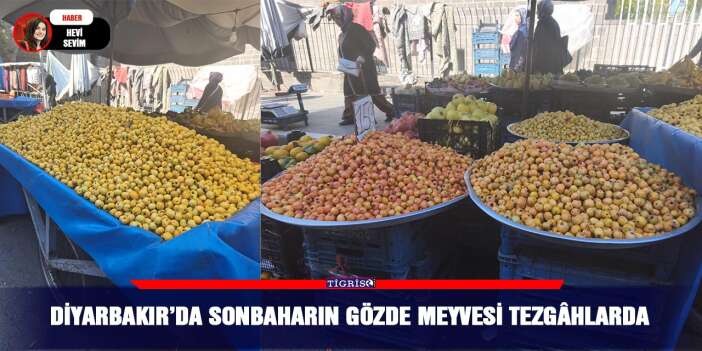 Diyarbakır’da sonbaharın gözde meyvesi tezgâhlarda