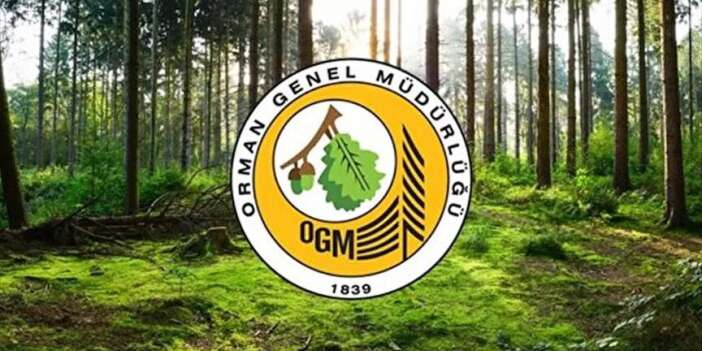 OGM personel istihdam edecek
