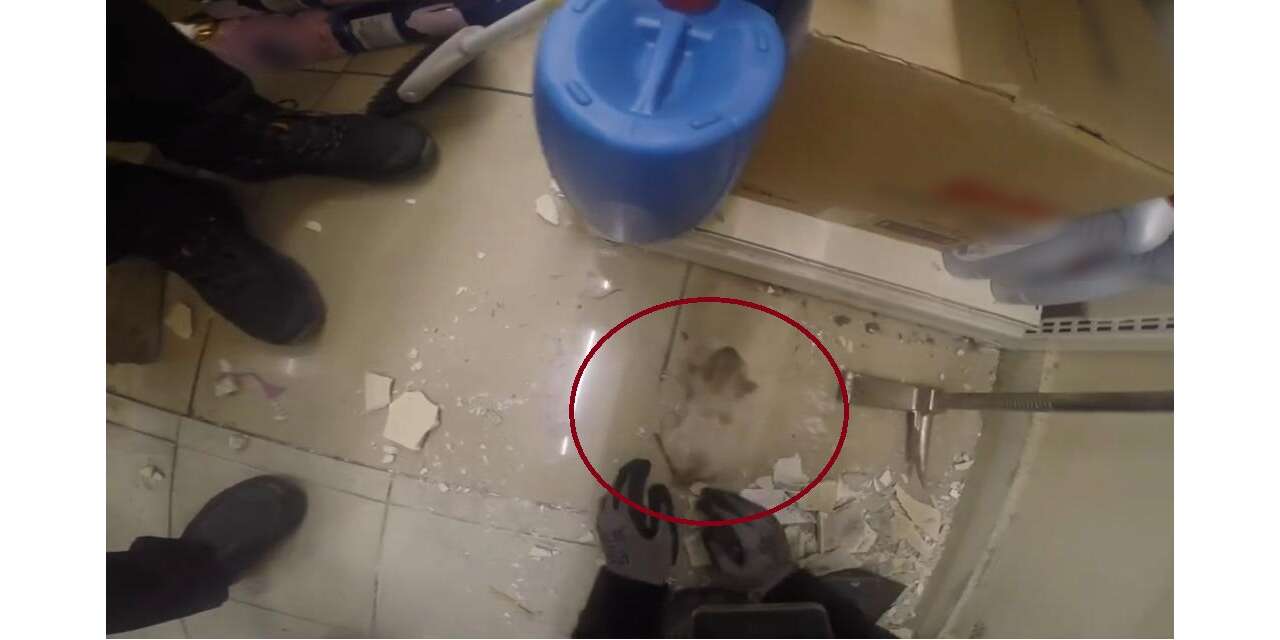 Diyarbakır’da demire sıkışan yavru kedi böyle kurtarıldı