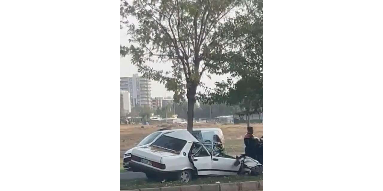 Otomobil ağaca ok gibi saplandı