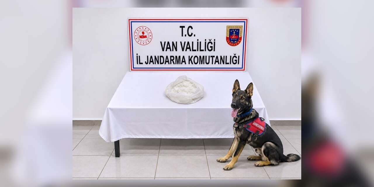 Narkotik köpeği tepki verdi, çantadan uyuşturucu çıktı