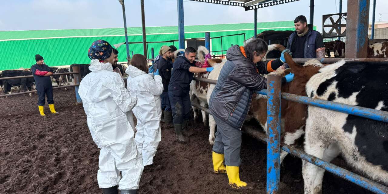 Diyarbakır’da uygulandı, sonuç dikkat çekti