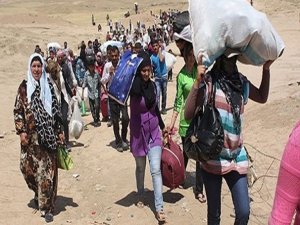 Çelik, Suriyelilere verilecek çalışma izninin ayrıntılarını anlattı