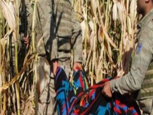 Mısır tarlasındaki cesetlerin kimlikleri belirlendi