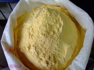 400 ton GDO'lu ürün ele geçirildi