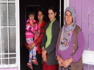 Elektrik yok bit var