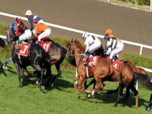 Altılı Ganyan Diyarbakır'da koşuldu