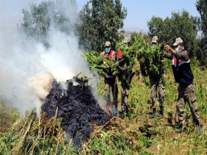 ADLİ EMANETTE BEKLETİLEN 10 TON ESRAR İMHA EDİLDİ