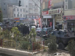 Li Cizîrê gel taxrîk dıkın