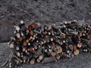 Bazirgan musalatî xwezaya Colemêrgê bûne!