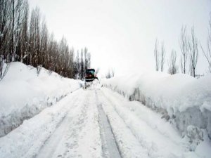 Tipi Muş- Diyarbakır Karayolunu Kapattı