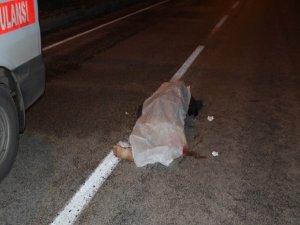 Savaştan kaçtı trafik kurbanı oldu