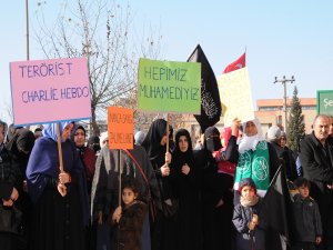 Karikatör tepkisi sürüyor