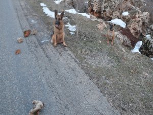 Silvan Baraj yolunda yürekleri ağza getiren bomba…