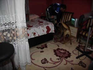 DİYARBAKIR GENELEVİNE BÜYÜK OPERASYON