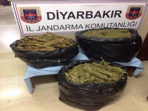 Diyarbakır’da 35 kilogram esrar ele geçirildi