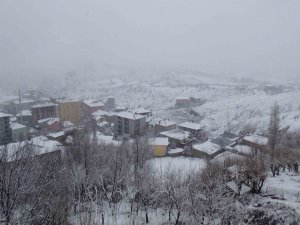 Kulp’ta kar yağışı sürüyor