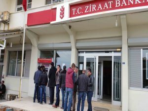 KULP’TA ÇİFTÇİYE DESTEK ÖDEMELERİ BAŞLADI