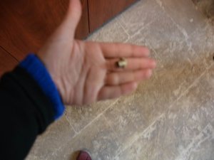 Nusaybin'deki tetikte kimin parmağı var?