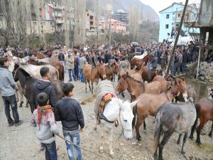 Hayvanların imhasına karşı çıkan Uluderelilere polis müdahalesi