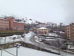 KAR YAĞIŞI KULP İLÇESİNİ BEYAZ ÖRTÜYE BÜRÜDÜ