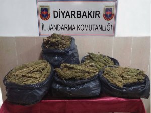 UYUŞTURUCU TACİRLERİNE GEÇİT YOK