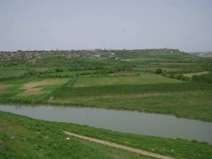 'Dicle vadisi tehdit altında'