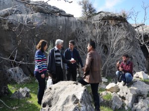 Meşe ağacından kestane üretilecek