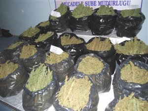 Şanlıurfa'da uyuşturucu operasyonu