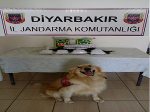 Jandarma’dan uyuşturucu ve kaçak çay operasyonu