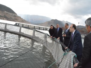 SİİRT'E BALIK ÇİFTLİĞİ