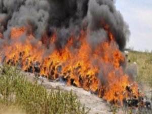 EĞER DOĞRUYSA BU BİR FELAKET