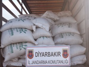Jandarma 15 TON KAÇAK ÇAY ELE GEÇİRDİ