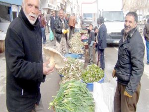 Ligel talukeyê pincar kom dikin