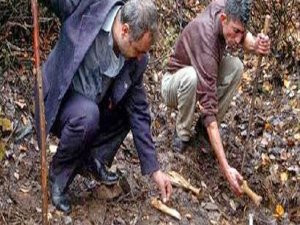 11 Köylünün katliyle  ilgili Kulp davasında 'sanık' tartışması