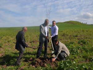 Sur’un köyleri yeşilleniyor