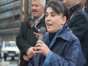 İmralı Heyeti Ağrı'da