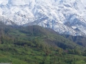 Baharın yeşili kışın beyazı