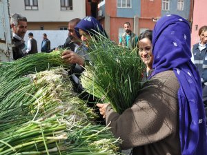 ŞİMDİ ‘SİRİK’ ZAMANI