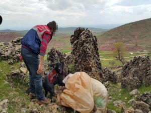 HAYDUT’UN OPERASYONU BAŞARILI BİTTİ:52 KG ESRAR ELE GEÇİRİLDİ