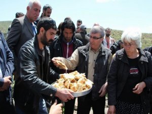 Terteleya Dêrsimê hate şermezarkirin