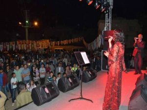 Çerçi Film Günleri kapsamında Ömerli'de konser düzenlendi.