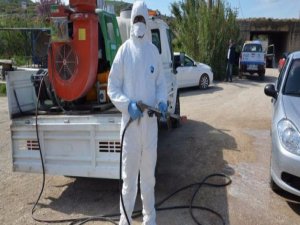 Kuş gribinde korkunç iddia!