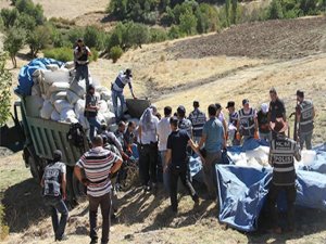 Diyarbakır'da 380 kilogram esrar ele geçirildi