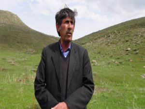 Li Wanê talana daran